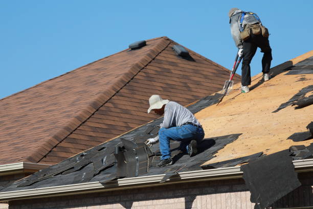 Best Gutter Replacement  in Gainesville, TX