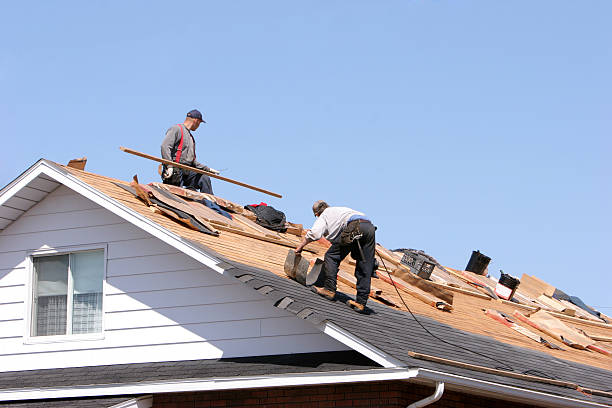 Best Asphalt Shingles Roofing  in Gainesville, TX