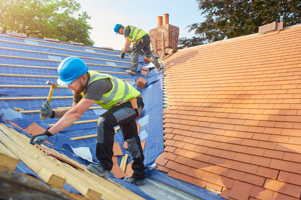 Best Gutter Installation and Repair  in Gainesville, TX